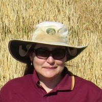 Andrea Hills