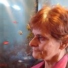 Ellie Schieferstein
