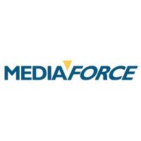 Mediaforce Seo Team