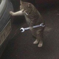 Cat Wrench