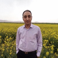Ali Behdarvand