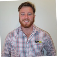 Lachlan Mcbrearty