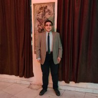 Ahmed Walid