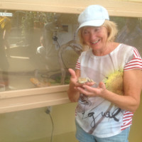 Gail Cosserat nee Downer