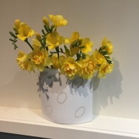 Sue Dunn