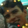 elon gomes