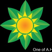 Solar Arabia Co Ltd