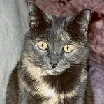 Cheryl Matuszewski