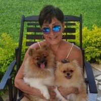 CARLA BECKER ABRAS BOUÇAS