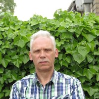 Johan Wibbelink