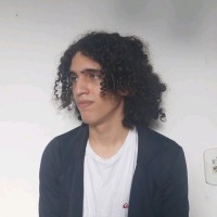 Enzo R. Araujo