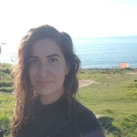 Nisreen Al-Amer