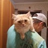 Владимир Назаренко