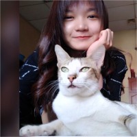 Neko Lee