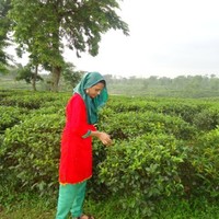Monira Parvin
