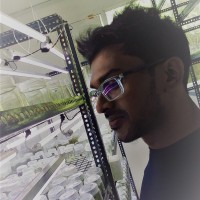 Nuwan Thilina