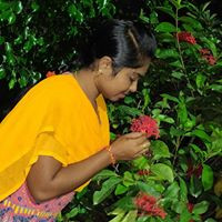 Bhavana T
