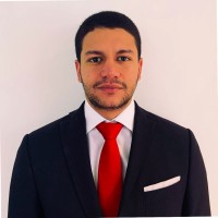 Luis Fernando Mendivil Silva