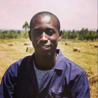 David Kayi