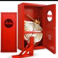 Robson do Amaral Evangelista Amaral