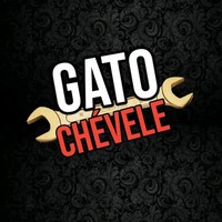 Gato Chevele