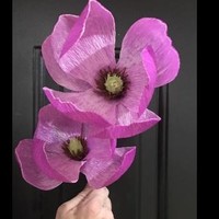 Nicole Flowers