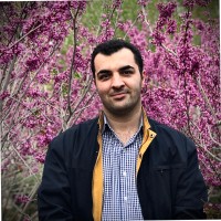 mohammad mirian