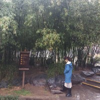 刘广伟