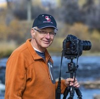 Don Gardiner