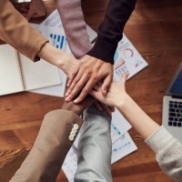 Marketing Team