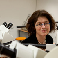 Iris Nagtegaal