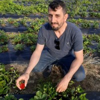 Battal Altınışık