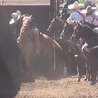 Refugio Ibarra Rivera