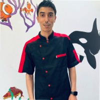 Mounir Chebbi