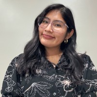 Ibeth Villa-Tamay