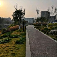 唐忠川