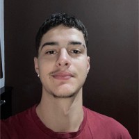 Vitor Hugo Pereira Martins