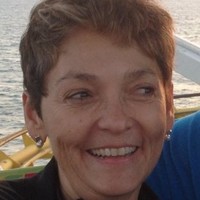 Lisa Sisneros Brow
