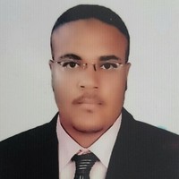 Khaled Gamal