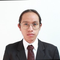 Luis David Cruz Munguia