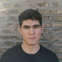Victorio Chanja Menichetti