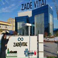Hanzade Tulan