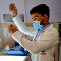 Zahid Ansari