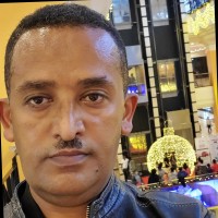 Hailu Mekonnen G