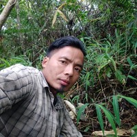 Nyanpong Konyak