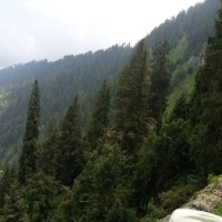 Ghayas Khan