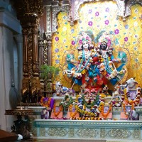 Dr Neeru Deshwal