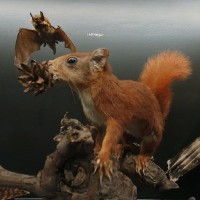 Janet Olde Wolbers