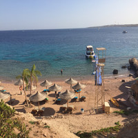Alwaleed Almosaind