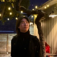 Chengming Li